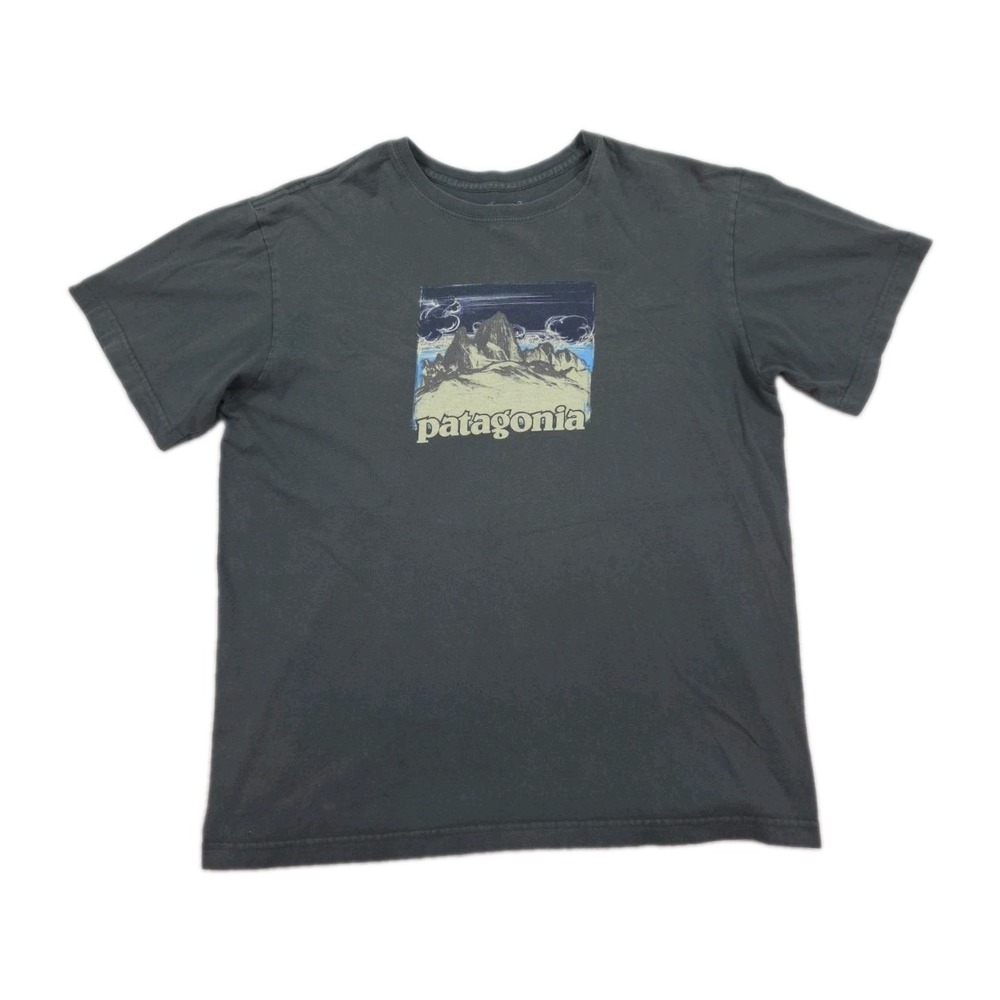 Patagonia T Shirt Mens Large Organic Cotton Skyline Mountain Graphic